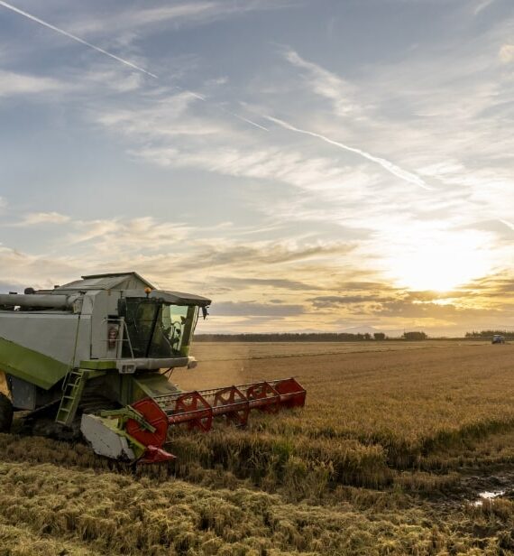 ssagriculturefarm