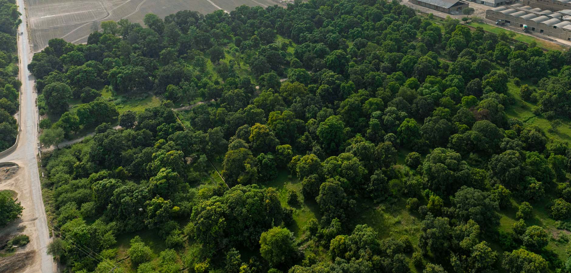 Banner_SS_Agriculture_Farms