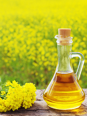 canola_oil